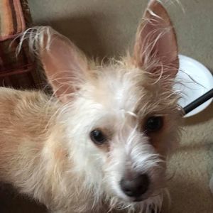 Meet your Posher, Marsha